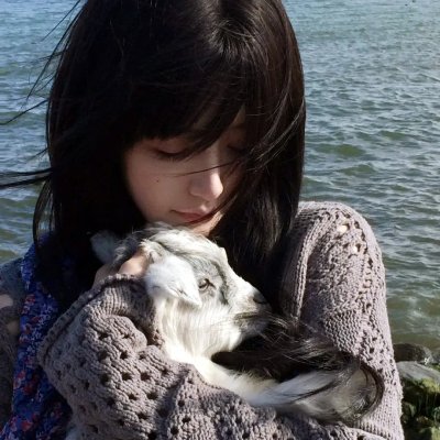 沙漠活宝